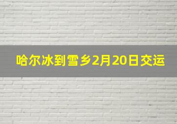 哈尔冰到雪乡2月20日交运