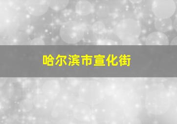 哈尔滨市宣化街