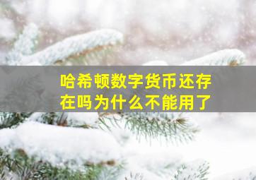 哈希顿数字货币还存在吗为什么不能用了