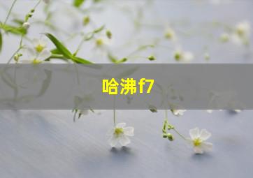 哈沸f7