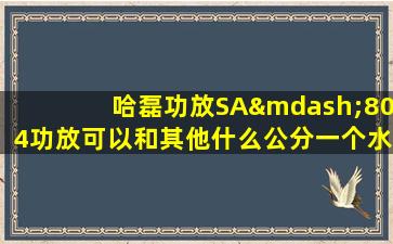 哈磊功放SA—804功放可以和其他什么公分一个水平