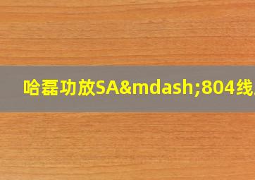 哈磊功放SA—804线路图