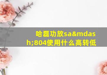 哈磊功放sa—804使用什么高转低