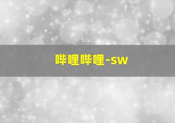 哔哩哔哩-sw