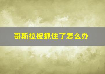 哥斯拉被抓住了怎么办