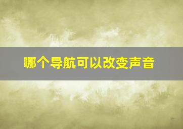 哪个导航可以改变声音