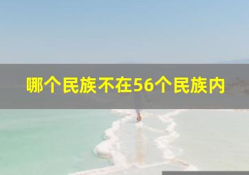 哪个民族不在56个民族内