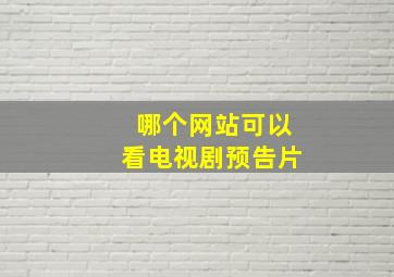 哪个网站可以看电视剧预告片