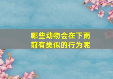 哪些动物会在下雨前有类似的行为呢