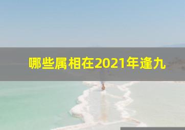 哪些属相在2021年逢九