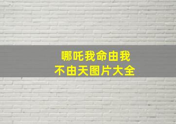 哪吒我命由我不由天图片大全