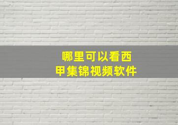 哪里可以看西甲集锦视频软件