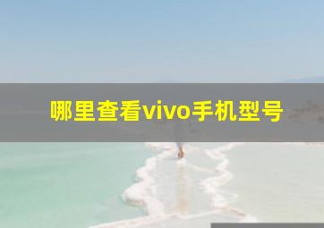 哪里查看vivo手机型号