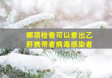 哪项检查可以查出乙肝携带者病毒感染者