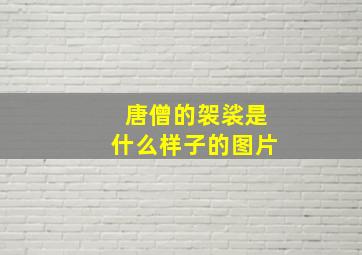 唐僧的袈裟是什么样子的图片