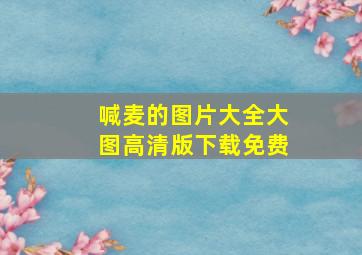 喊麦的图片大全大图高清版下载免费