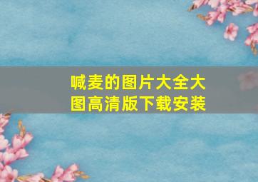 喊麦的图片大全大图高清版下载安装