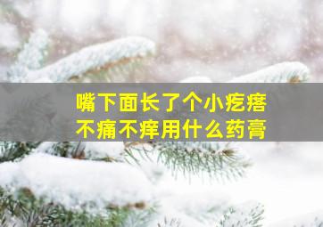 嘴下面长了个小疙瘩不痛不痒用什么药膏