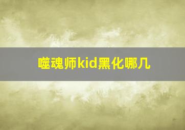 噬魂师kid黑化哪几