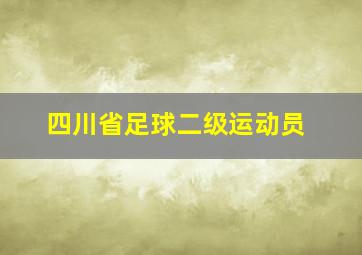 四川省足球二级运动员