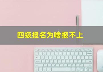 四级报名为啥报不上