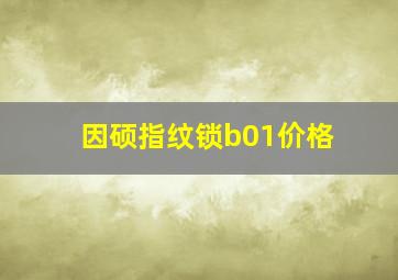 因硕指纹锁b01价格