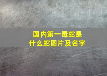 国内第一毒蛇是什么蛇图片及名字