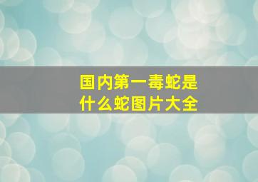 国内第一毒蛇是什么蛇图片大全