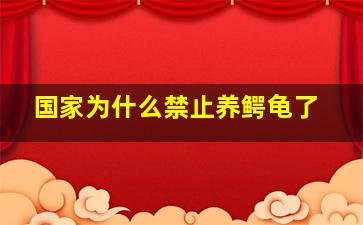 国家为什么禁止养鳄龟了