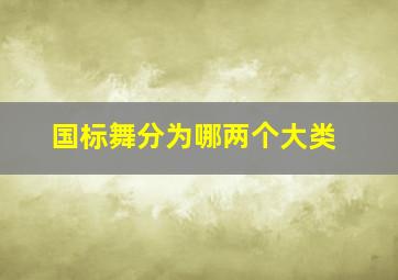 国标舞分为哪两个大类