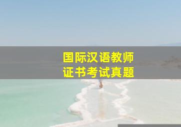 国际汉语教师证书考试真题