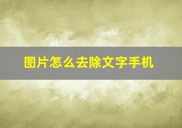 图片怎么去除文字手机