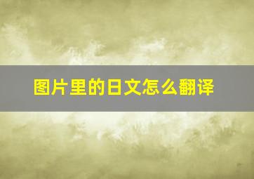 图片里的日文怎么翻译