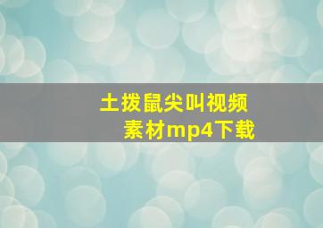 土拨鼠尖叫视频素材mp4下载