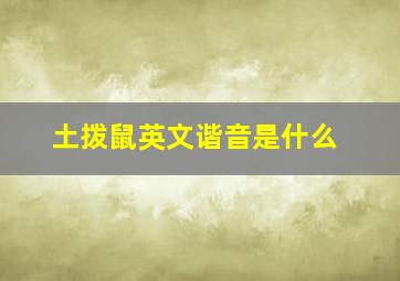 土拨鼠英文谐音是什么