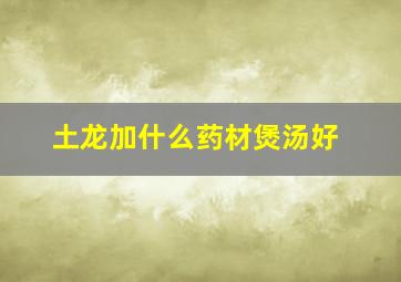 土龙加什么药材煲汤好