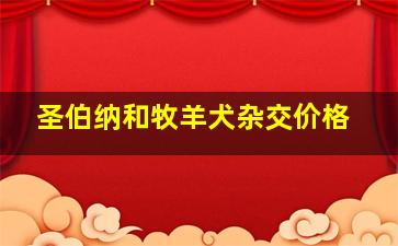 圣伯纳和牧羊犬杂交价格