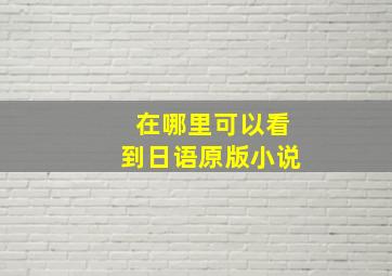 在哪里可以看到日语原版小说