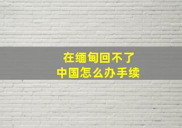 在缅甸回不了中国怎么办手续