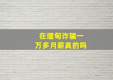 在缅甸诈骗一万多月薪真的吗