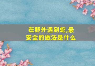 在野外遇到蛇,最安全的做法是什么