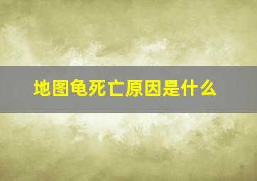 地图龟死亡原因是什么