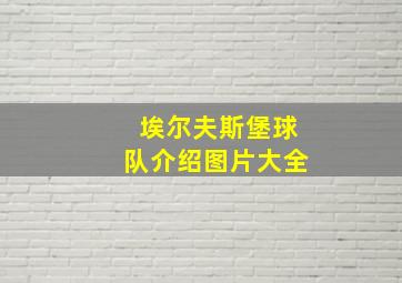 埃尔夫斯堡球队介绍图片大全