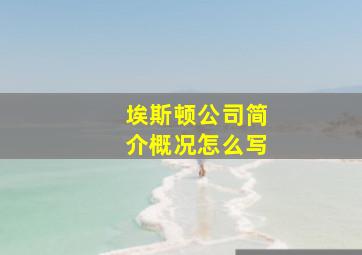 埃斯顿公司简介概况怎么写