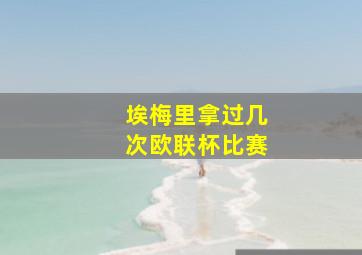 埃梅里拿过几次欧联杯比赛