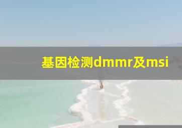 基因检测dmmr及msi