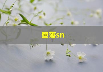 堕落sn