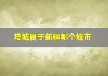 塔城属于新疆哪个城市