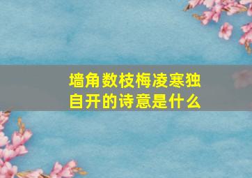 墙角数枝梅凌寒独自开的诗意是什么