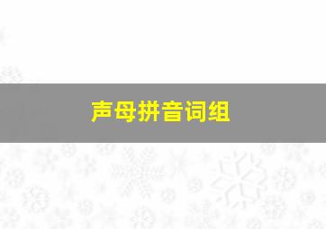 声母拼音词组